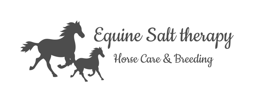 Equine Salt Therapy